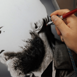 Sagola XTech Airbrush Beard Painting